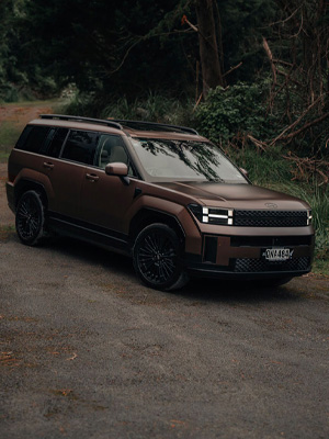 Hyundai image