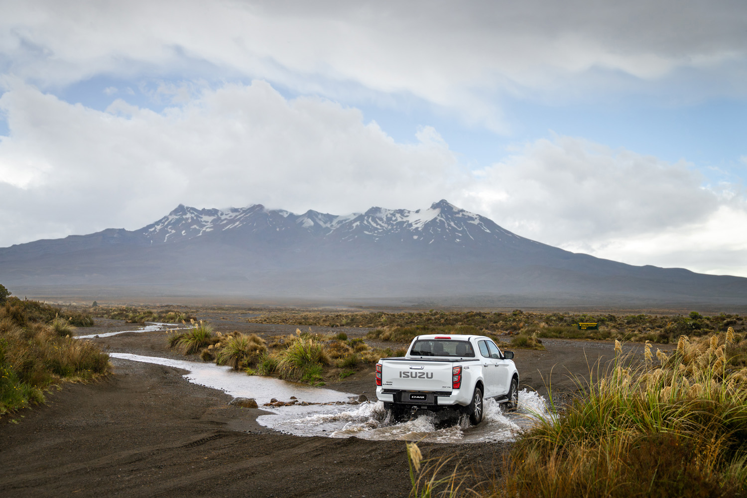 DMax_NZ-15